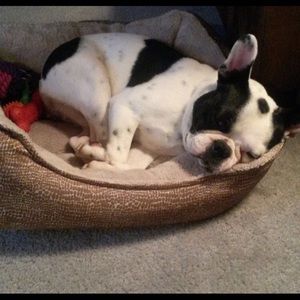 Meet your Posher, Hailey